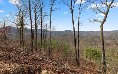 Mount Pisgah, Blue Ridge, GA 30513 - MLS#: 330673