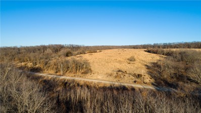 TBD Spring Valley Rd Road, Davis City, IA 50065 - MLS#: 668027