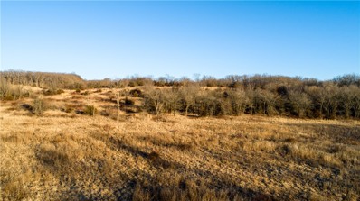 TBD Spring Valley Rd Road, Davis City, IA 50065 - MLS#: 668028