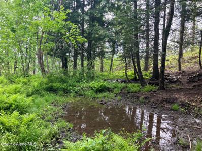 Gold Cup Mountain, Priest River, ID 83856 - #: 24-6887