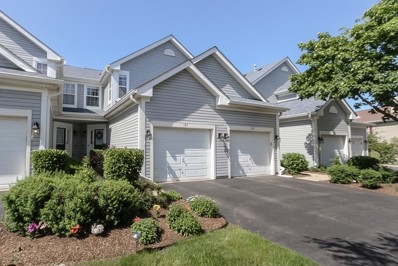 107 Northlight Passe Unit 107, Lake In The Hills, IL 60156 - #: 11436184