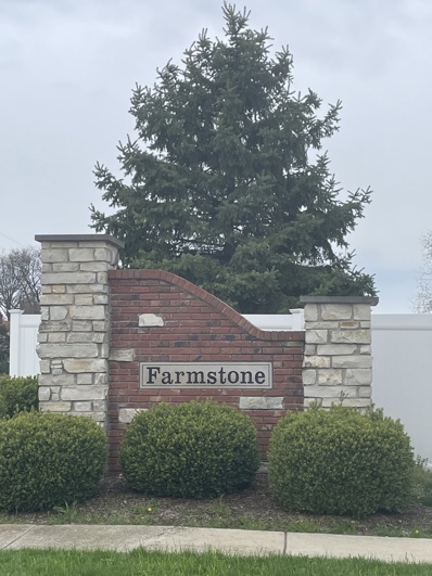 1170 Farmstone Drive, Diamond, IL 60416 - #: 11966578