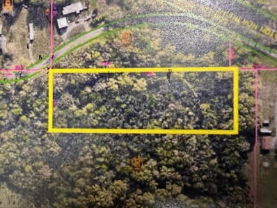 Lot 1 Restivo Avenue, Freeman Spur, IL 62841 - #: 12025936