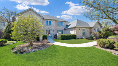 13800 Mayflower Lane, Orland Park, IL 60467 - #: 12054503