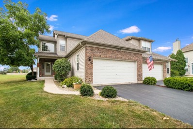 22959 Birch Court, Plainfield, IL 60586 - #: 12083906