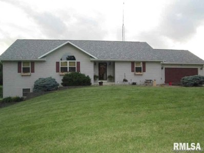 121 Coral Berry Street, Jacksonville, IL 62650 - #: 381636