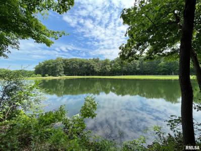 224 Beyers Lake Estate, Pana, IL 62557 - #: CA1015535