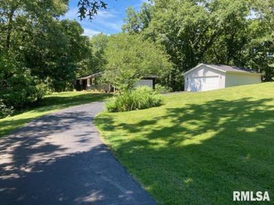 3911 E Lakeshore Drive, Taylorville, IL 62568 - #: CA1022605