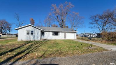 309 E Elm Street, Loami, IL 62661 - MLS#: CA1026092