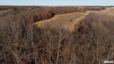 000 Boy Scout Road, Hettick, IL 62649 - MLS#: CA1026534