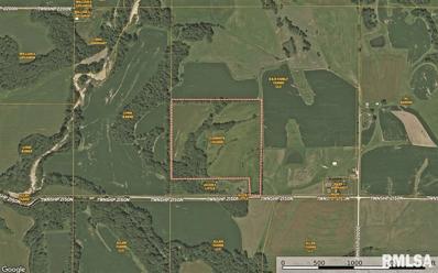 32.75 Acres Hadley Twp Section 17, Barry, IL 62312 - MLS#: CA1028363