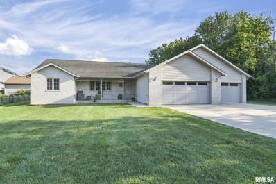 5251 Primrose Lane, Spaulding, IL 62561 - MLS#: CA1028745