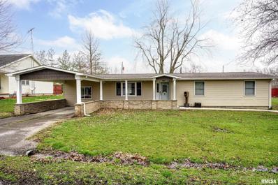 316 Albert Street, Nokomis, IL 62075 - MLS#: CA1028790