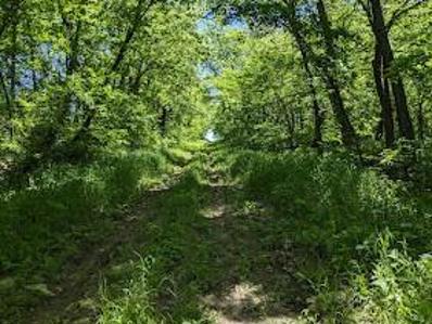 40.2 Ac Mineral Point Road, Troy, KS 66087 - MLS#: 2475436