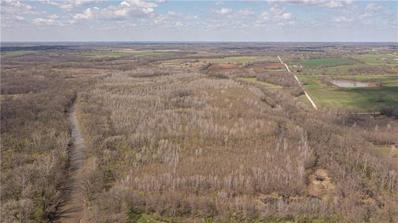 Tbd Sw 1151 Road, Blairstown, MO 64726 - #: 2481906