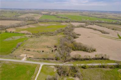 24.6 Acres V Highway, Dearborn, MO 64439 - #: 2484676