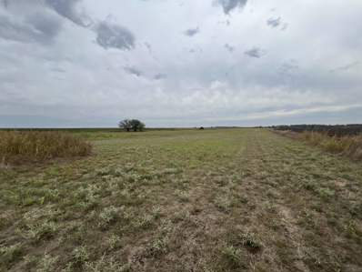 1\/4 Mile W Of Dixon Rd & W 110th St S, Caldwell, KS 67022 - #: 645169