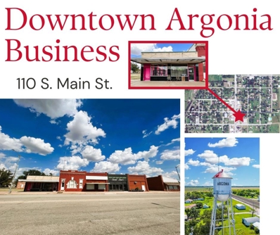 110 S Main St, Argonia, KS 67004 - MLS#: 646051