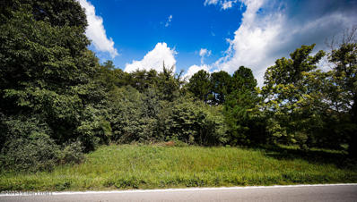 0 US Hwy 62, Horse Branch, KY 42349 - #: 1621588