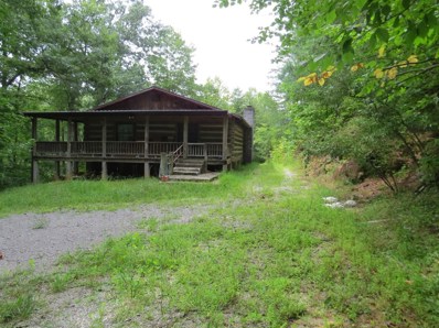 244 Gilley Hollow Road, Cumberland, KY 40823 - #: 20017872