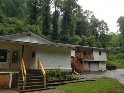 173 Tunnel Branch, Myra, KY 41572 - #: 22016547