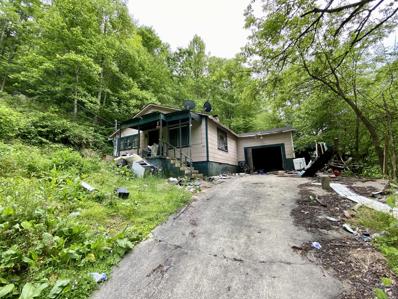 360 Pickle Bean Hollow, Phelps, KY 41553 - #: 23009323