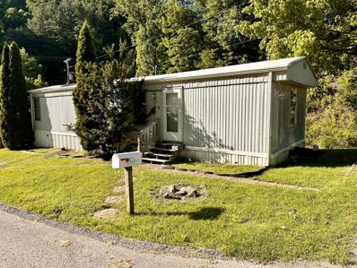 157 Bill King Hollow, Pikeville, KY 41501 - MLS#: 24006931