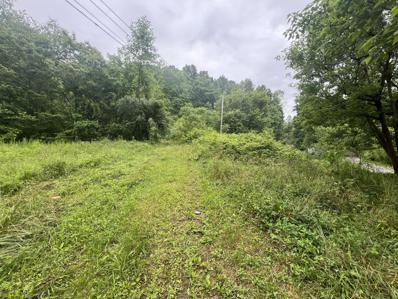 551 Lost Fork Road, Manchester, KY 40962 - #: 24011834