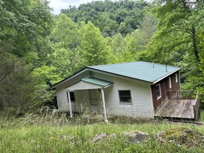 420 Persimmon Fork Road, Yeaddiss, KY 41777 - MLS#: 24013148