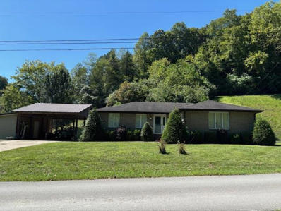 55 Verne Horne Drive, Staffordsville, KY 41256 - #: 24019368