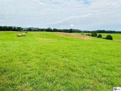 Tract 2 Brown Sisters Rd, Bradfordsville, KY 40009 - #: 1264405
