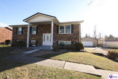 105 Belaire Drive, Rineyville, KY 42701 - #: 1267757