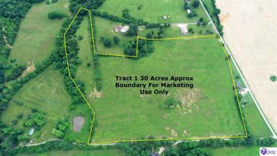 Tract 1 Sinks Road, Leitchfield, KY 40052 - #: 1273829