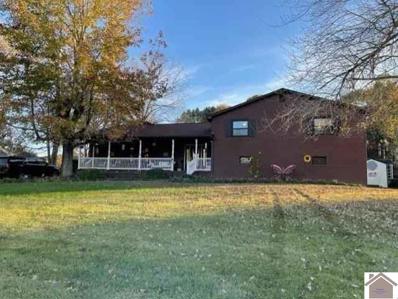 87 Government Road, Providence, KY 42450 - #: 117265
