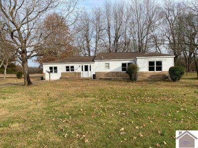 12270 State Route 131, Symsonia, KY 42082 - #: 118211