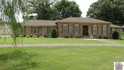 1097 State Route 1241, Mayfield, KY 42066 - #: 120363