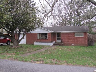 46 Whitnell Dr, Wingo, KY 42088 - MLS#: 121199