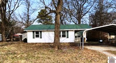 231 Union Street, Lovelaceville, KY 42060 - MLS#: 125650