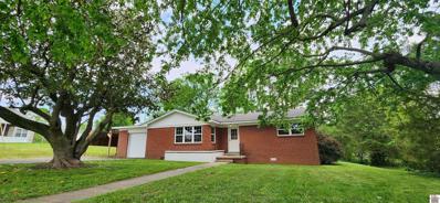 46 Whitnell, Wingo, KY 42088 - #: 126483
