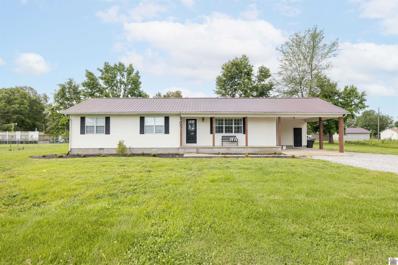 60 Lloyd Loop, Wingo, KY 42088 - MLS#: 127659