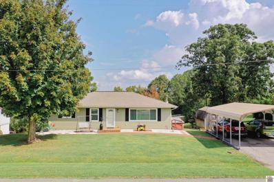 302 N Highland Ave, Earlington, KY 42410 - MLS#: 128942