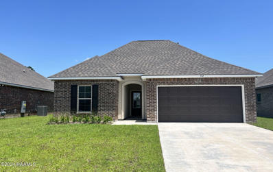 312 Peppercorn Way, Carencro, LA 70507 - #: 24001110