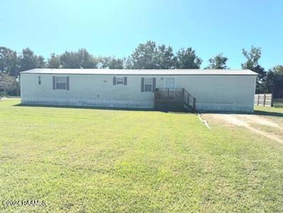 6705 Montgomery Road, Maurice, LA 70555 - #: 24010365