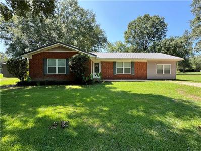 517 KISATCHIE Drive, Dry Prong, LA 71423 - #: 2467644