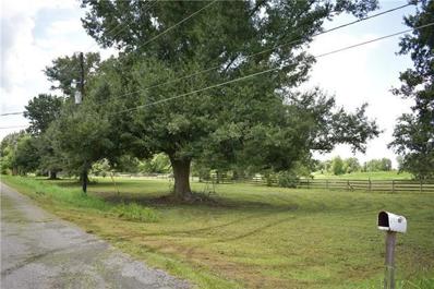 LOT 1 TWIN OAKS Drive, Raceland, LA 70394 - #: 2458442