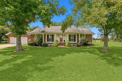 702 TWIN OAKS Drive, Raceland, LA 70394 - #: 2466440