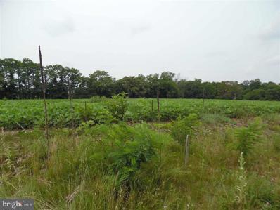 Lot 3 Stouchsburg Road, Mount Aetna, PA 19544 - #: 1002663131