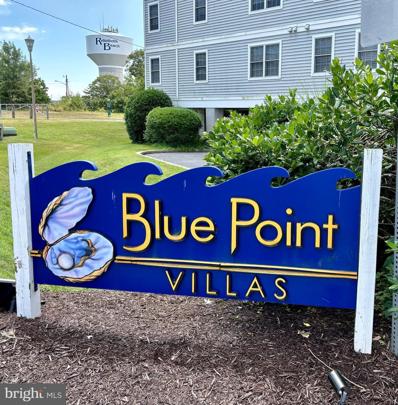 20356 Blue Point Drive Unit 1301, Rehoboth Beach, DE 19971 - #: DESU2064448