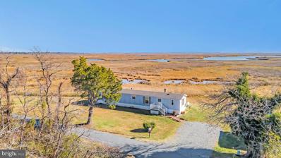 23413 Osburn Webster Road, Deal Island, MD 21821 - #: MDSO2002636