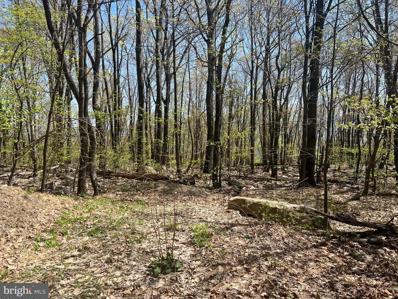 Lot 30 Barren Trail, Mount Union, PA 17066 - #: PAMF2027608